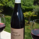 Mimosa * Bardolino