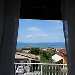 Mimosa * Bardolino