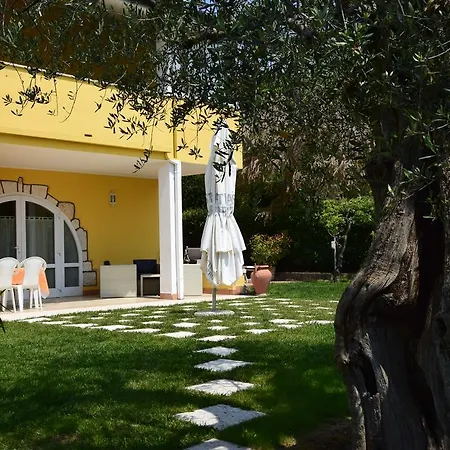 Mimosa * ברדולינו