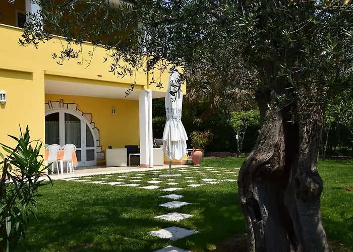 Mimosa * Bardolino