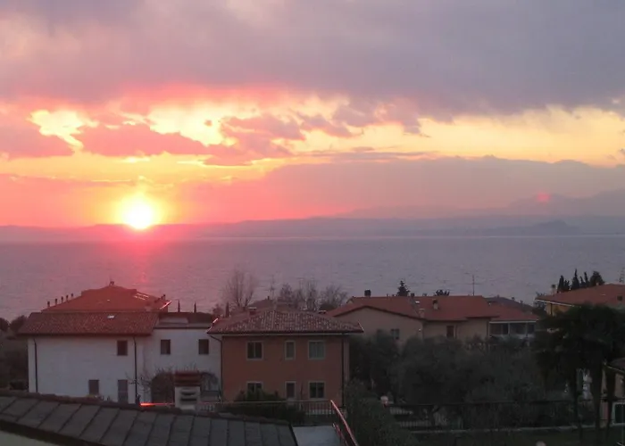 Mimosa Bardolino