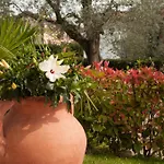 Mimosa Apartamento